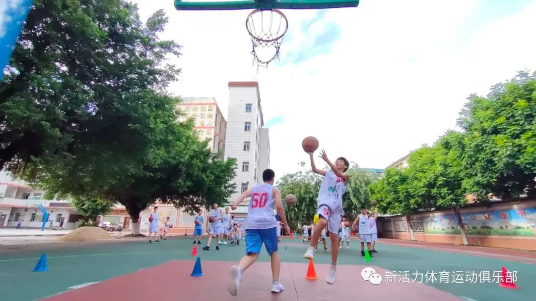 如何通过数据分析优化篮板训练效果?_1